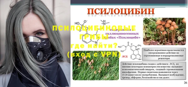 крисы Балахна